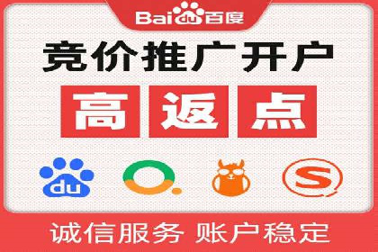百度推广实战攻略：案例与技巧